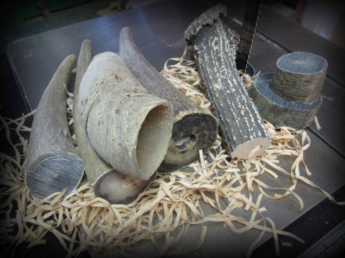 Natural horn for decorative rings