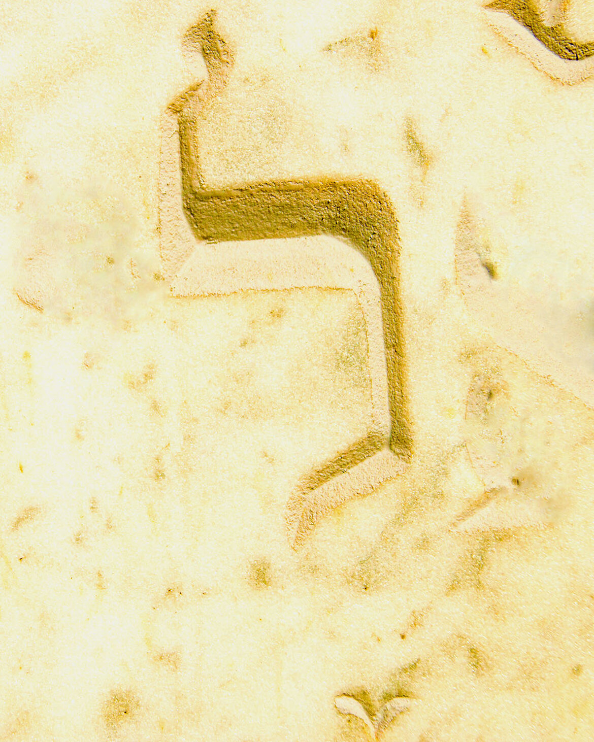 Luigi Viola, Lamed Tel Aviv Tribute to Emet, 2012