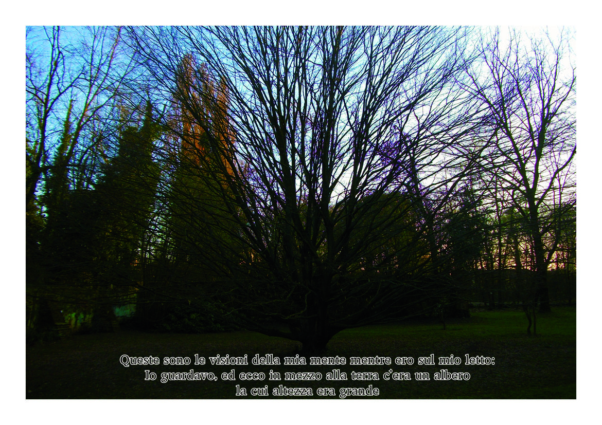 installation for Adamà, curated by M.L. Trevisan, Pardes Mirano