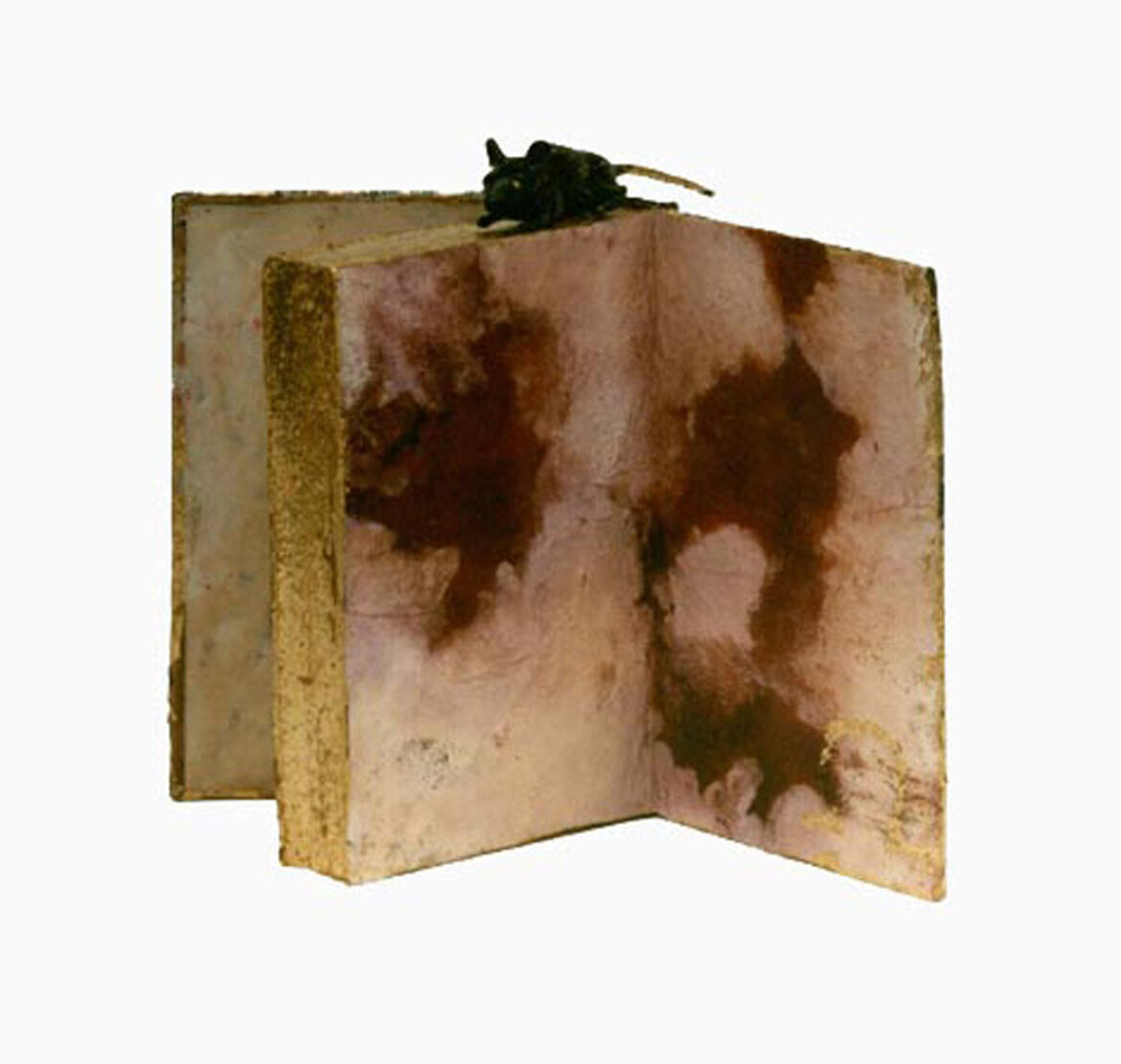book - object