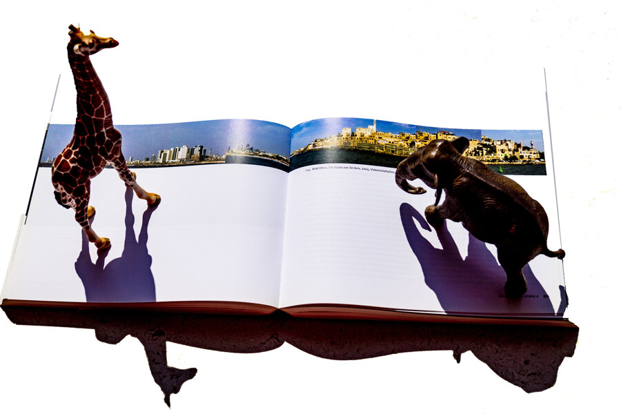Luigi Viola, Deutsche Fauna mit Buch, archival pigment print on paper, 60x 90 cm, 2019