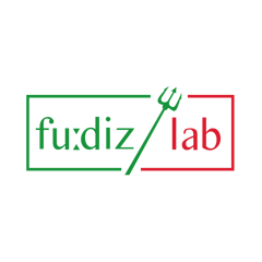 logo fudizlab logo fudizlab