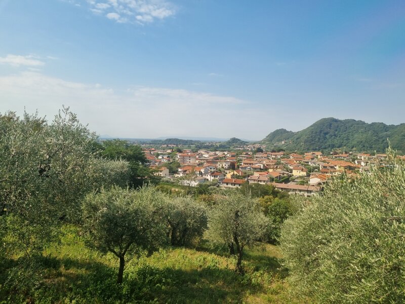 Pove del Grappa Pove del Grappa