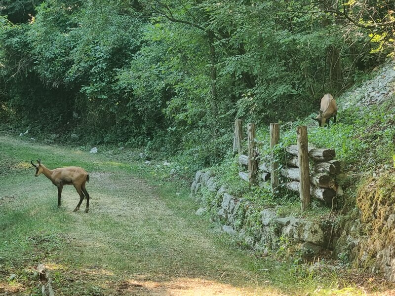 Sentiero degli Scalpellini (Loc. Pove) Sentiero degli Scalpellini (Loc. Pove)