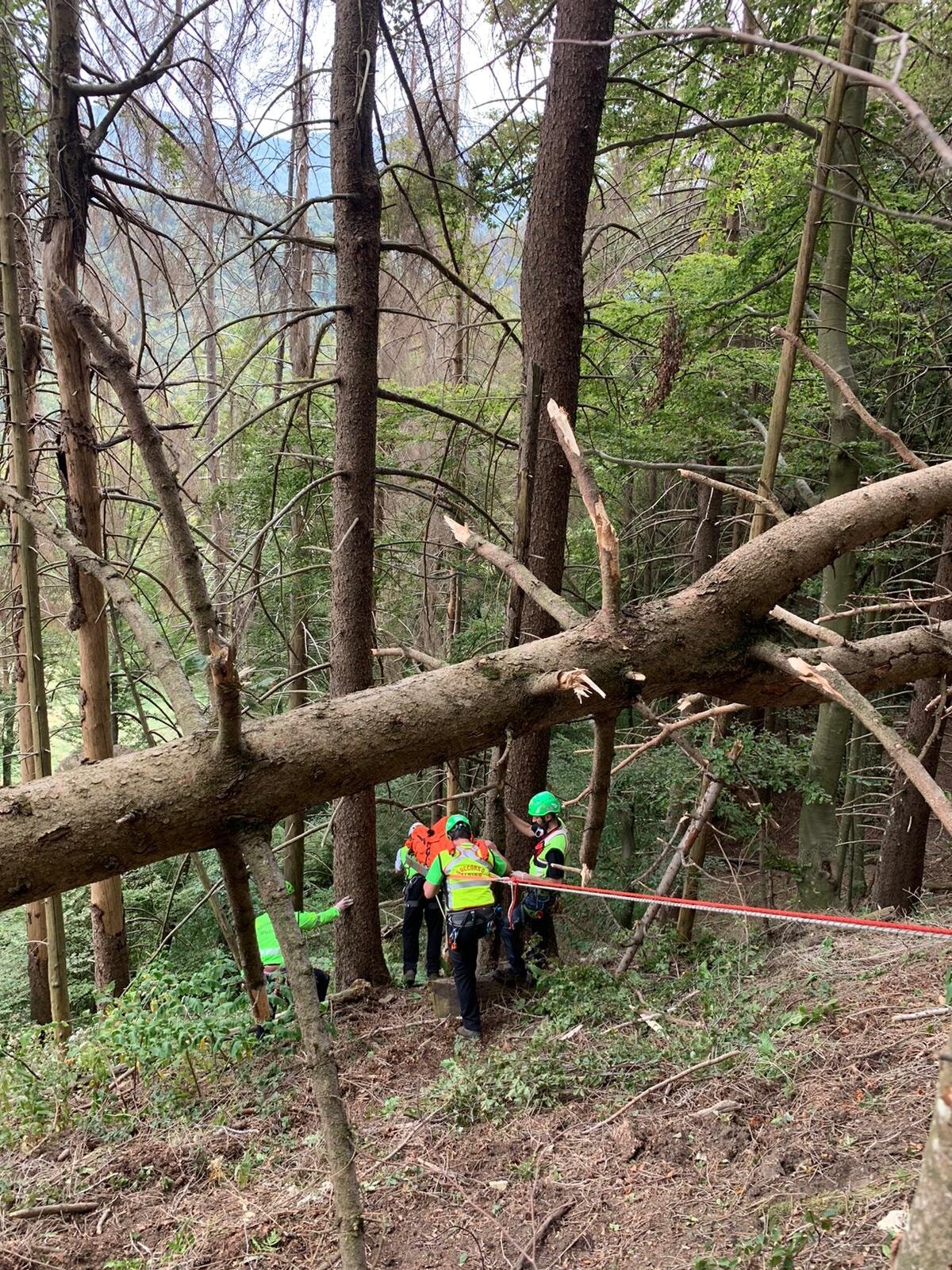 15 settembre 2021. Lagoni (Corniglio - Pr) Operaio forestale perde la vita.