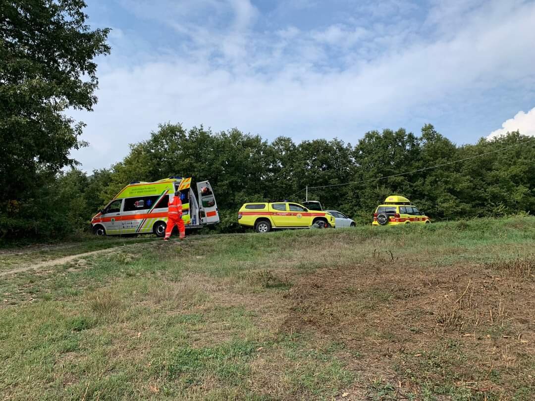 9 ottobre 2022. Lamino di Valmozzola (PR). Punto da un imenottero finisce in una scarpata con la propria auto.