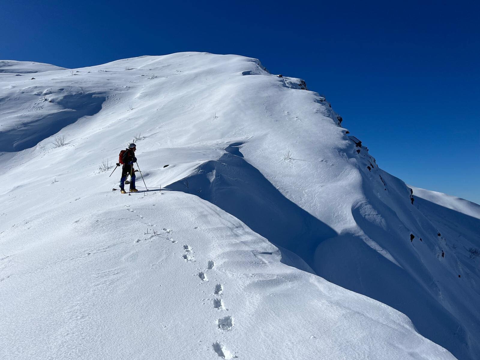 Consigli utili Consigli utili