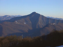 31420433-77ea-49e0-8446-d3afe2e5012a