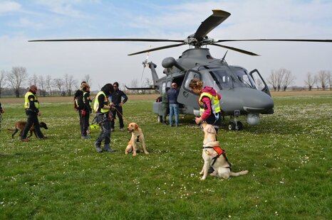 17353472_232917783782054_109807464984876499_n