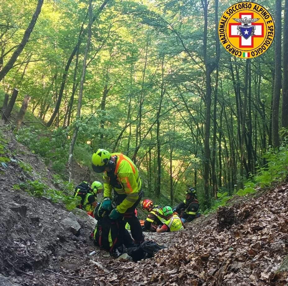 16 luglio 2024. Monte Avognolo (Premilcuore - FC). Fungaiola precipita in un canaline nel bosco.