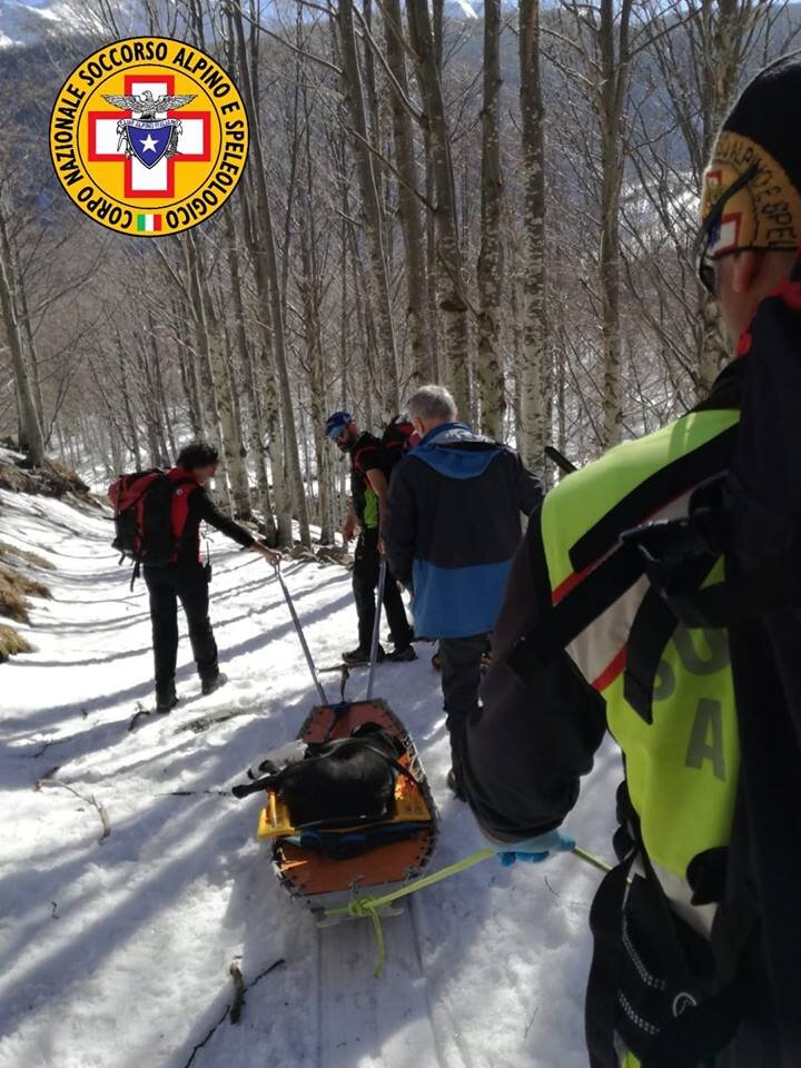 17 febbraio 2019. Lago Ballano (Monchio delle Corti -Pr Pr). Comitiva di ciaspolatori in difficolt&agrave;. Ferito il loro cane.
