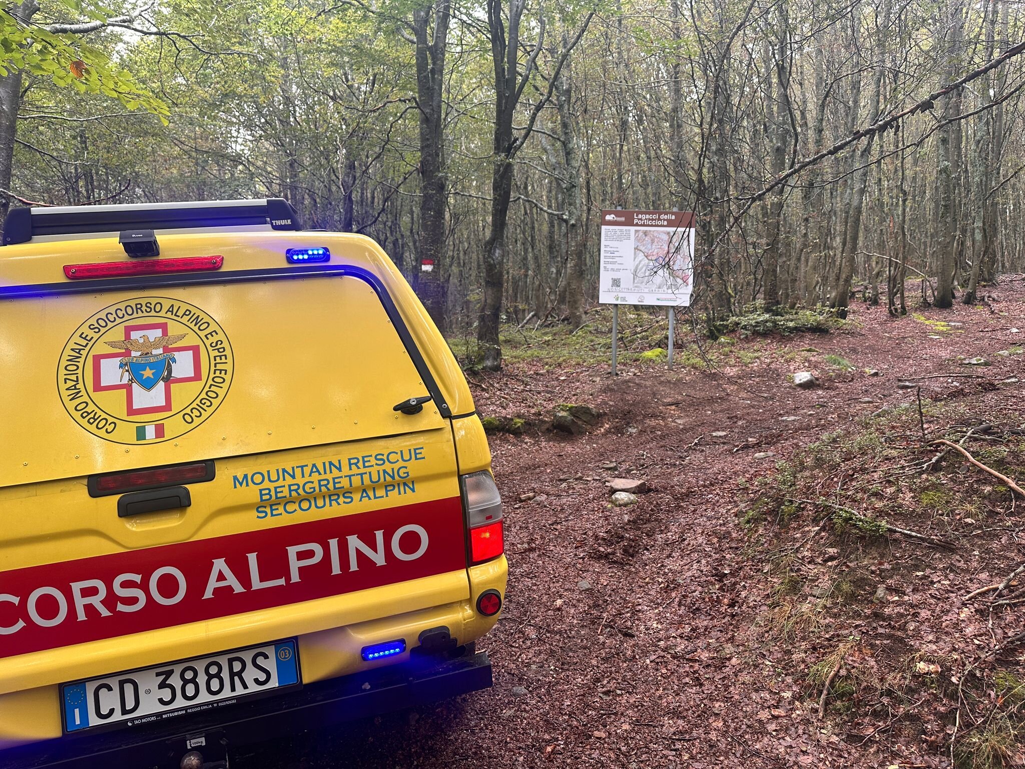 20 agosto 2024. Pievepelago (MO). Fungaiolo disperso.