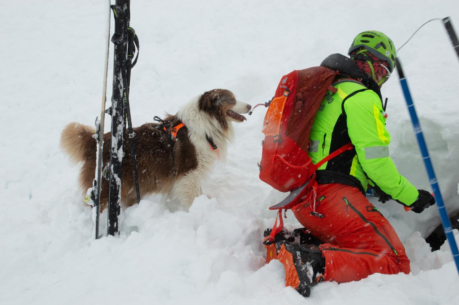 ATTIVITA&rsquo; DELLE UNITA&rsquo; CINOFILE SU NEVE