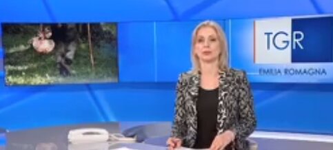 Periodo di di raccolta funghi. Alcuni consigli.