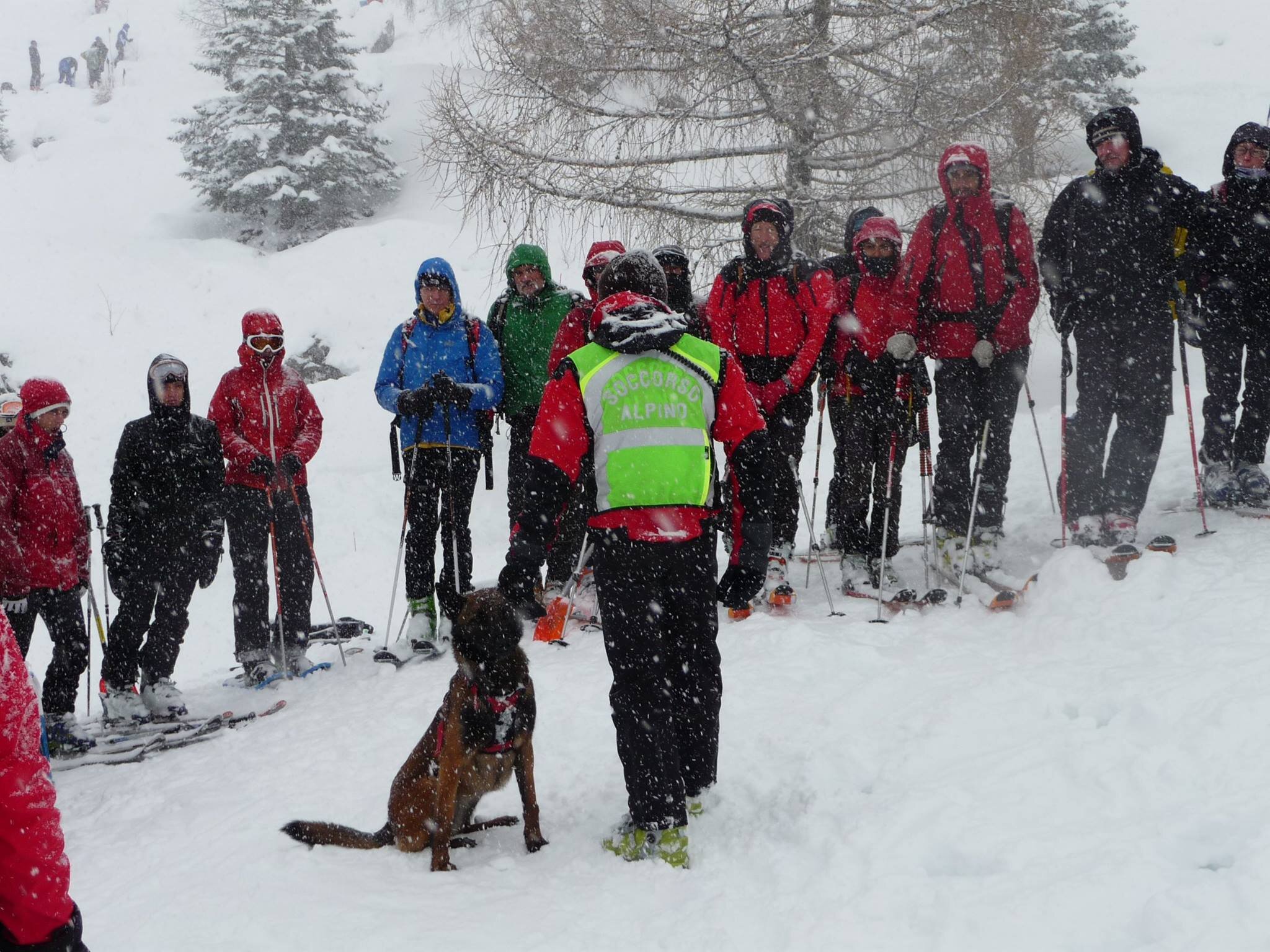 SICURI CON LA NEVE 2018 SULL&rsquo;APPENNINO REGGIANO &ndash; IL PROGRAMMA DEL 21 GENNAIO