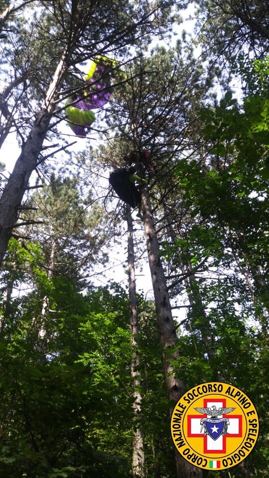 16 agosto 2019. Pineta di Cozzano (Langhirano - Pr). Incidente di parapendio. Illeso il conduttore.