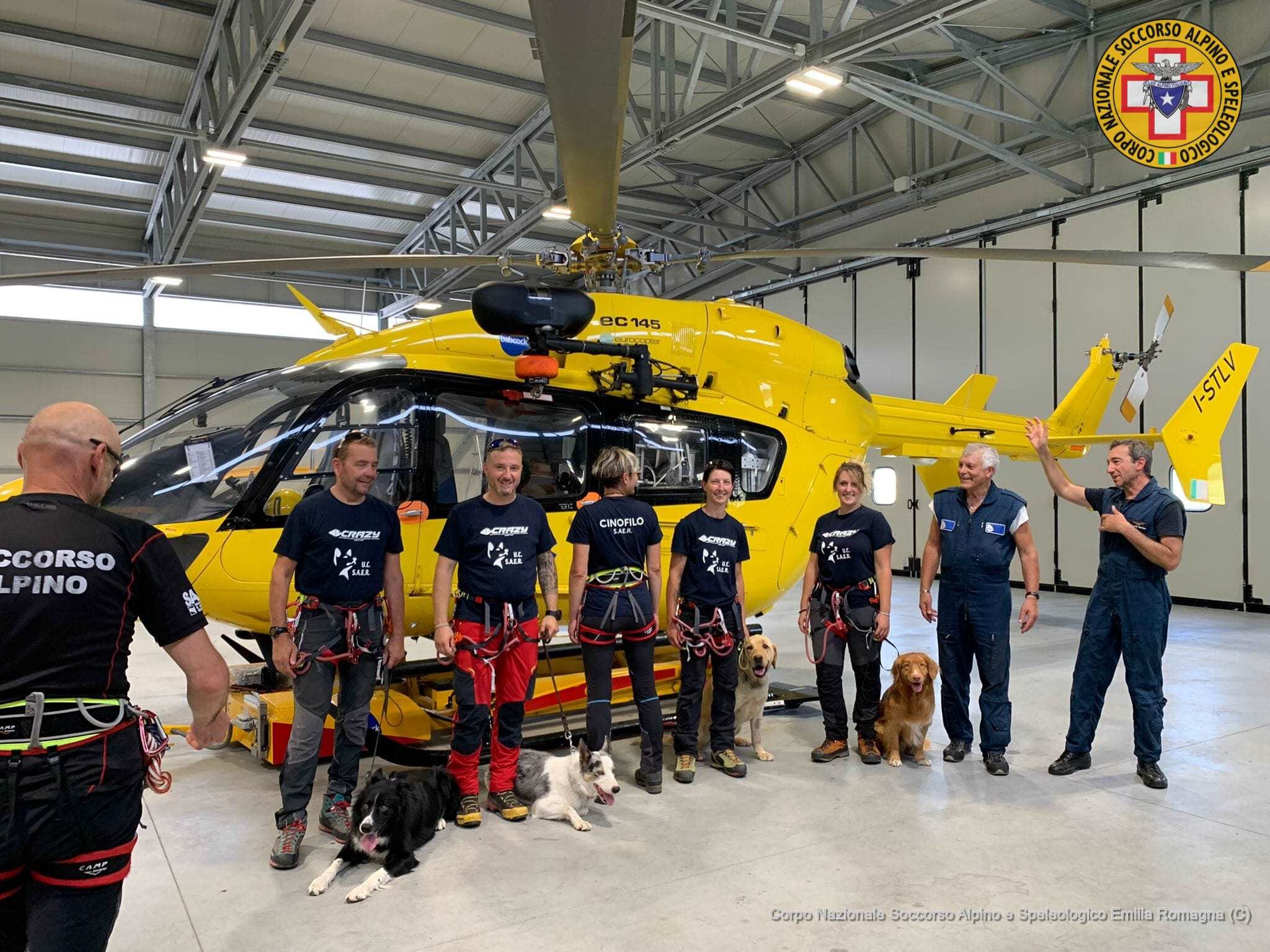 26 agosto 2022. Giornata mondiale del Cane.