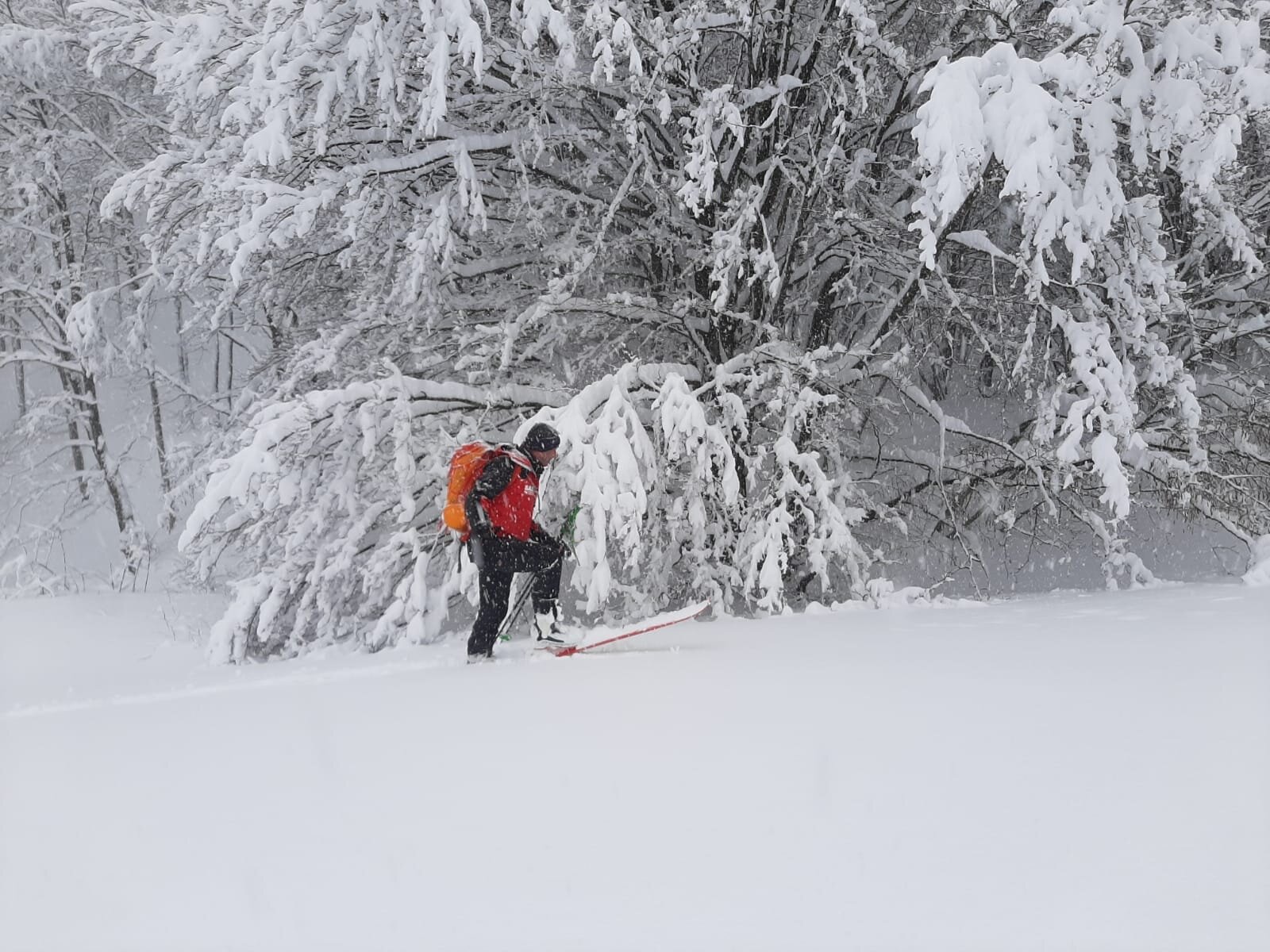 1 gennaio 2021. Ancora nessun esito per le ricerche dello scialpinista disperso in zona Schia (PR).