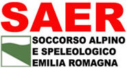 logo_saer_30041