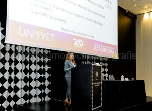 20260215_033.jpeg 20260215_033.jpeg