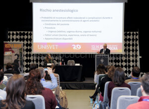 20260215_008.jpeg 20260215_008.jpeg