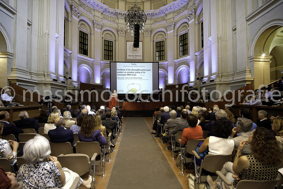 7ddb22f4-8bfd-49d6-b53c-a662c55ddb46