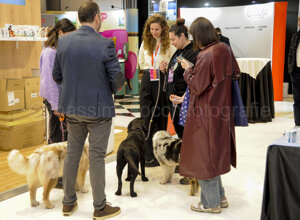 20260215_023.jpeg 20260215_023.jpeg