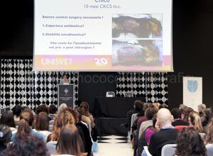 20260215_009.jpeg 20260215_009.jpeg