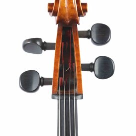 Cello da studio, testa fronte.