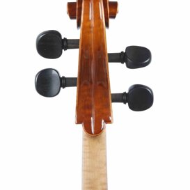 Cello da studio, testa retro.