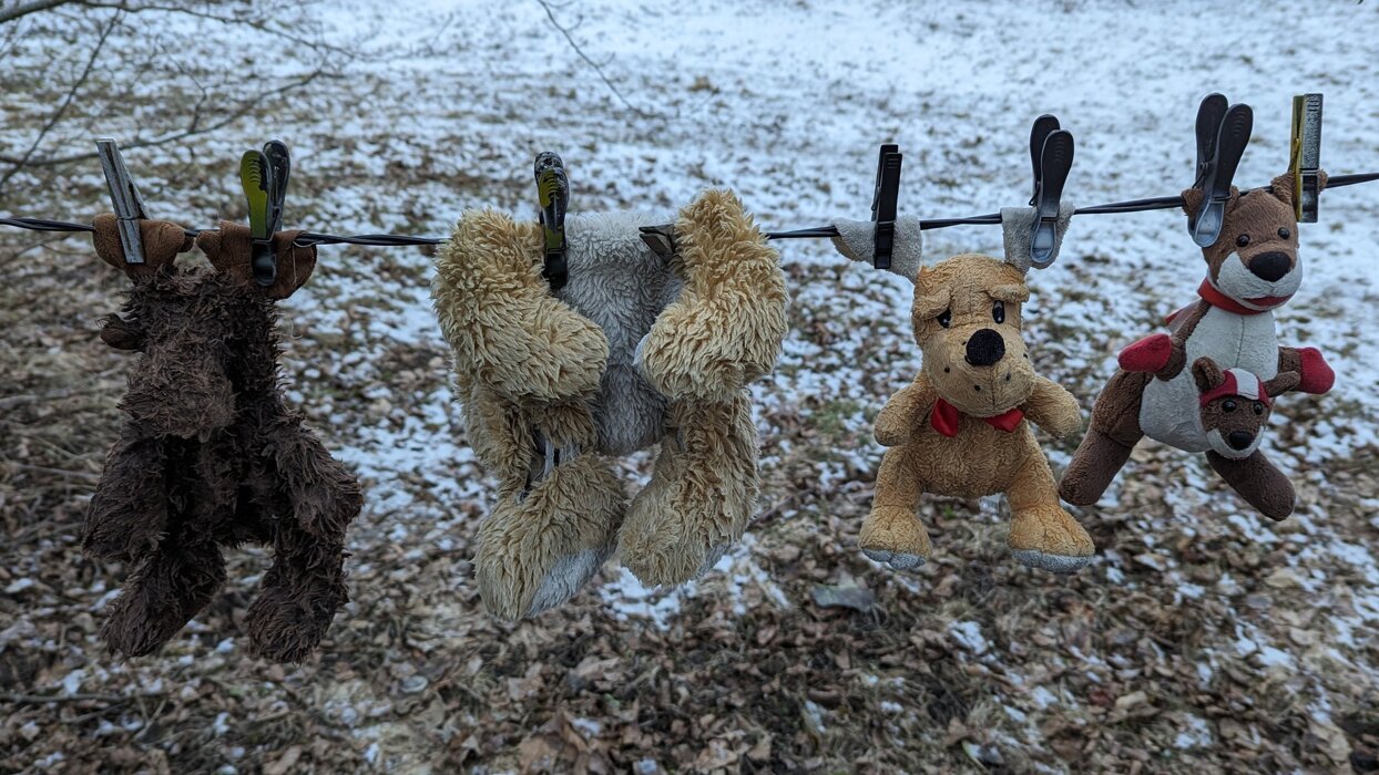 53737a2e-f685-47d5-a4e9-60ccfe617d5f.jpeg 53737a2e-f685-47d5-a4e9-60ccfe617d5f.jpeg