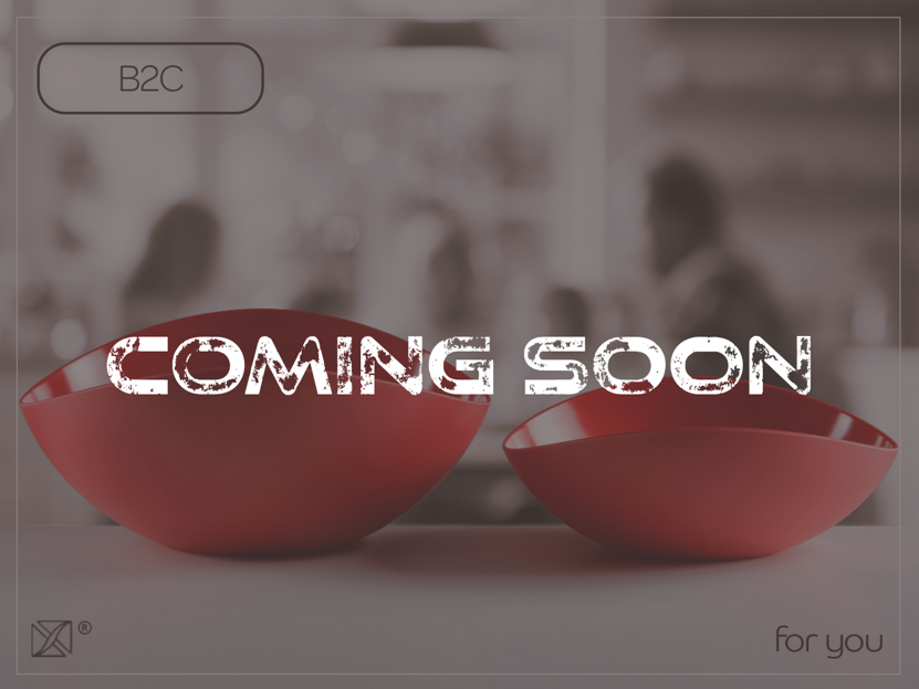 b2c_cs