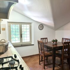 Cucina Cucina