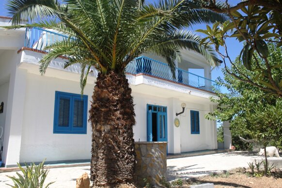 img_2016.jpeg img_2016.jpeg