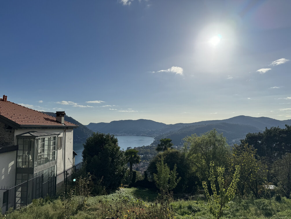 img_0302.jpeg img_0302.jpeg