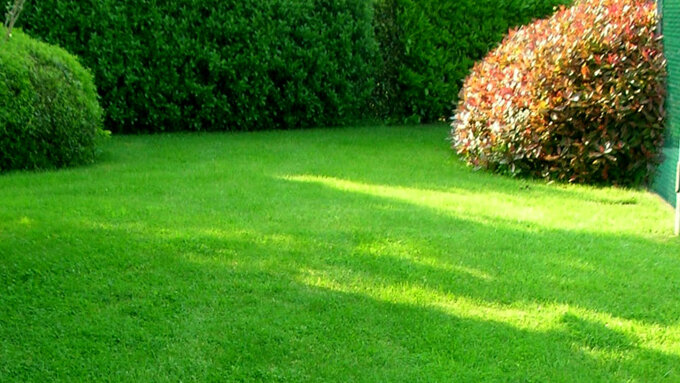 pratoo-2.jpeg pratoo-2.jpeg