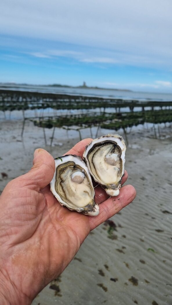 eric1.jpeg eric1.jpeg