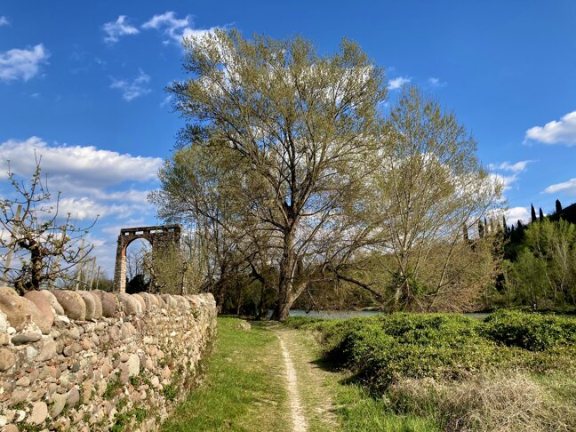 img_3890 copia 2.jpeg img_3890 copia 2.jpeg