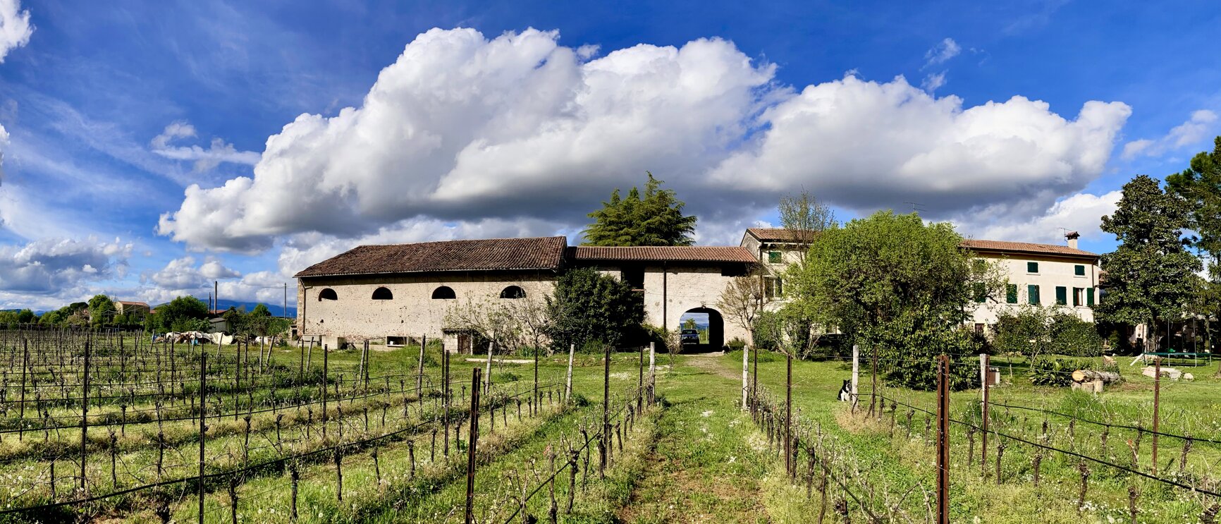 img_0836.jpeg img_0836.jpeg