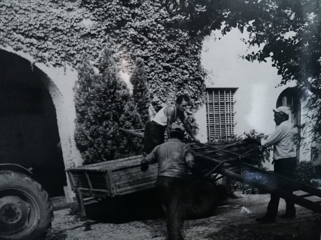 101060419_695226881242850_5076223449165201408_n.jpeg 101060419_695226881242850_5076223449165201408_n.jpeg