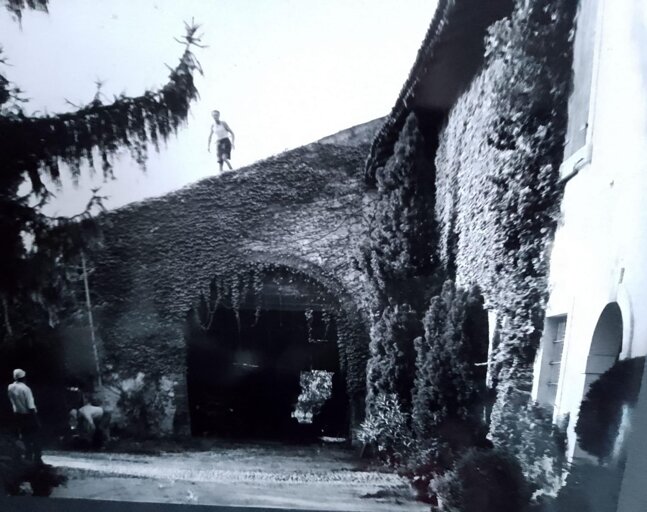 img_3128.jpeg img_3128.jpeg