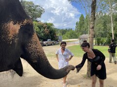 tailandia2023-11-13 12.12.14.jpeg tailandia2023-11-13 12.12.14.jpeg