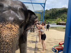 tailandia2023-11-13 12.55.28.jpeg tailandia2023-11-13 12.55.28.jpeg