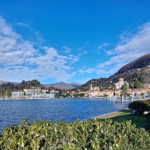 20231206_121011.jpeg 20231206_121011.jpeg