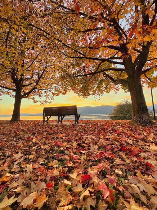 whatsapp image 2025-12-22 at 23.13.01.jpeg whatsapp image 2025-12-22 at 23.13.01.jpeg