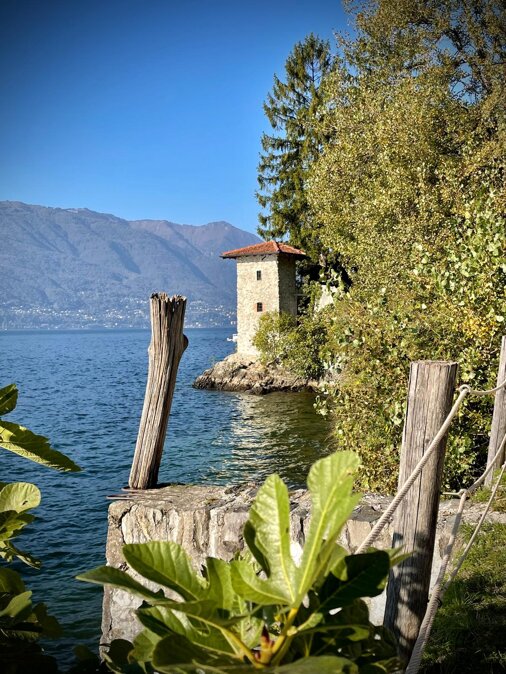 whatsapp image 2025-12-22 at 23.13.02 (5).jpeg