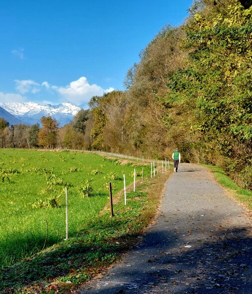 20231115_095857.jpeg 20231115_095857.jpeg