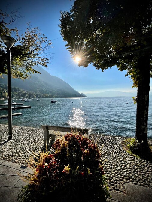 whatsapp image 2025-12-22 at 23.13.02 (4).jpeg