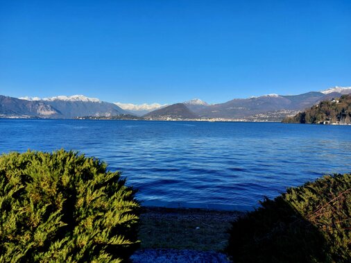 20240120_091920.jpeg 20240120_091920.jpeg