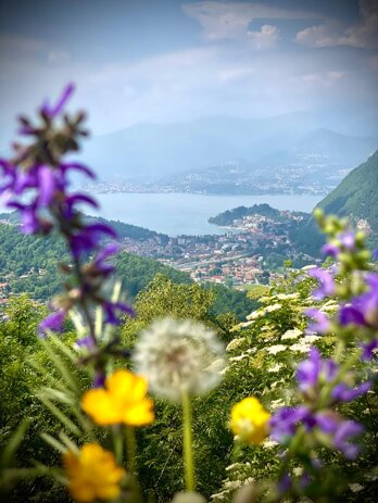 whatsapp image 2025-12-22 at 23.13.07 (5).jpeg